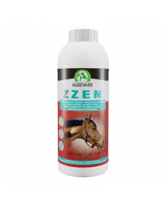 Audevard Zzen, 1 l