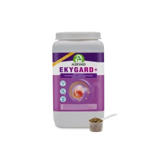 Audevard Ekygard