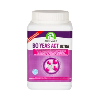 Audevard Bo Yeas Act Ultra