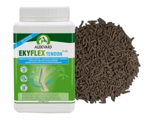 Audevard Ekyflex Tendon EVO